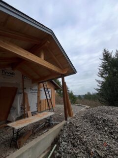 Site visit for this whole home remodel + addition (including a pool). It’s coming along swimmingly. This is going to be the ultimate bachelor’s paradise!